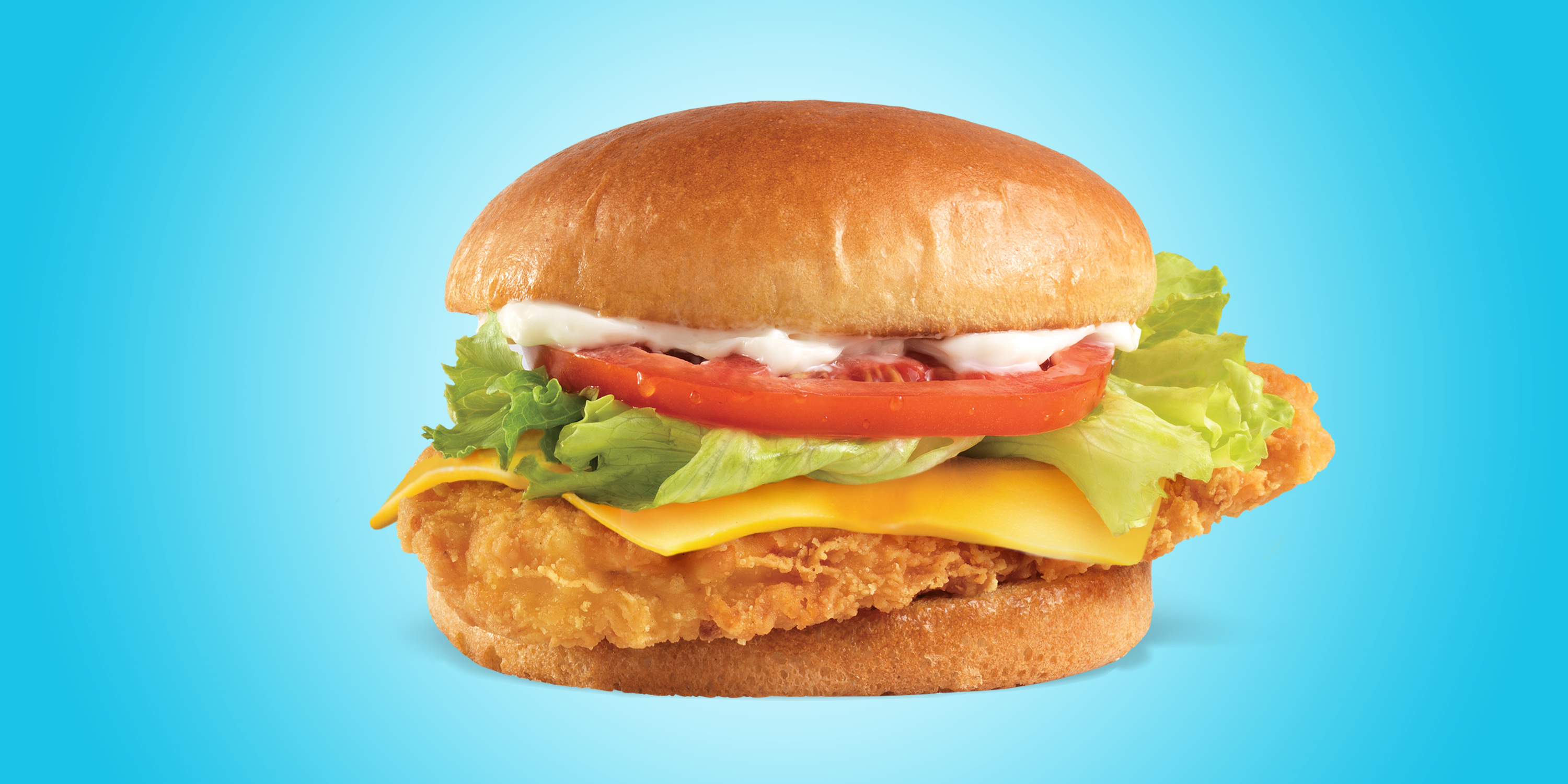 Homestyle Chicken Sandwich