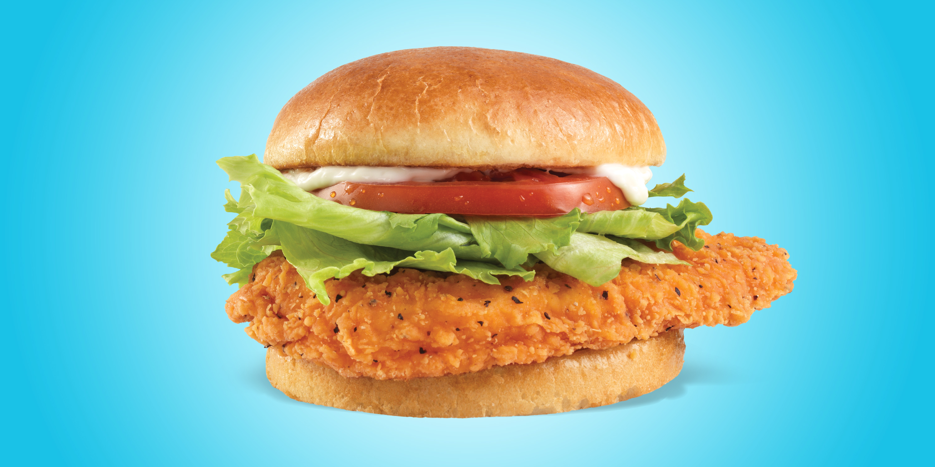 Spicy Chicken Sandwich