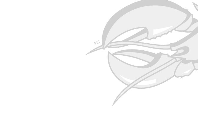 currentBrand.slug